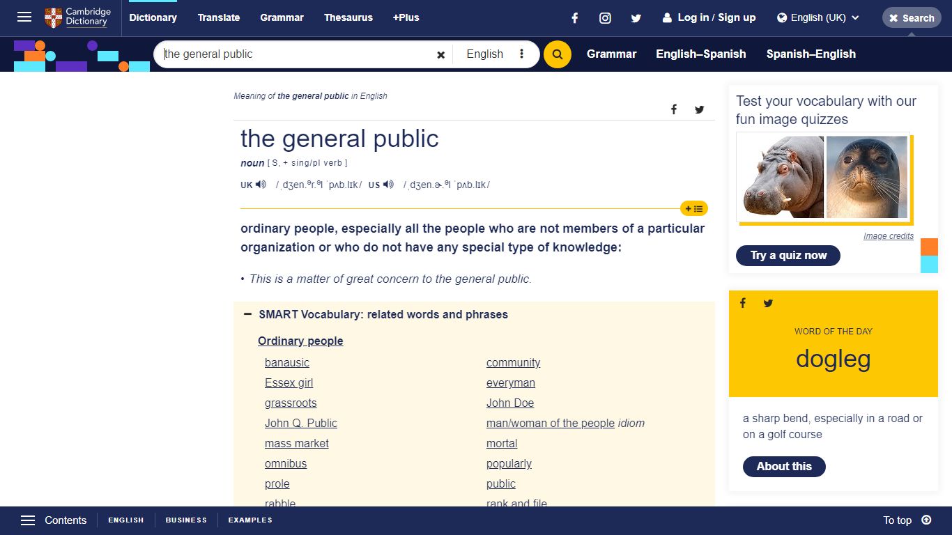 THE GENERAL PUBLIC | meaning in the Cambridge English Dictionary